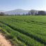  Land for sale in Chile, Santiago, Santiago, Santiago, Chile
