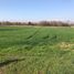  Land for sale in Chile, Santiago, Santiago, Santiago, Chile