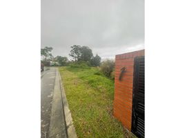  Land for sale in Pereira, Risaralda, Pereira