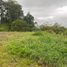  Land for sale in Pereira, Risaralda, Pereira