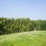  Land for sale in Lembang, West Jawa, Lembang, Bandung