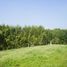  Land for sale in Lembang, West Jawa, Lembang, Bandung