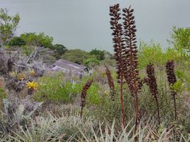  Terreno (Parcela) en venta en Imbabura, San Miguel De Ibarra, Ibarra, Imbabura