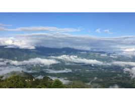  Land for sale in Fredonia, Antioquia, Fredonia