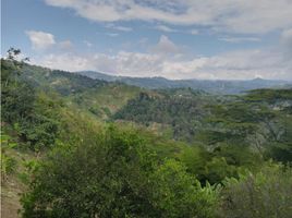  Grundstück zu verkaufen in Manizales, Caldas, Manizales, Caldas