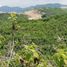  Terreno (Parcela) en venta en Liloan, Central Visayas, Liloan