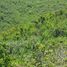  Terreno (Parcela) en venta en Liloan, Central Visayas, Liloan