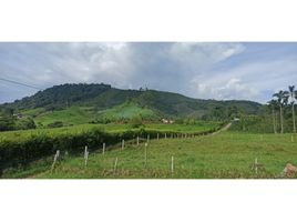  Terreno (Parcela) en venta en Santa Rosa De Cabal, Risaralda, Santa Rosa De Cabal