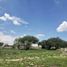  Terreno (Parcela) en venta en Huimilpan, Querétaro, Huimilpan