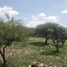  Terreno (Parcela) en venta en Huimilpan, Querétaro, Huimilpan