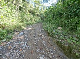 Estudio Casa en venta en Bugaba, Chiriquí, San Andrés, Bugaba