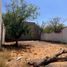  Grundstück zu verkaufen in Torreon, Coahuila, Torreon