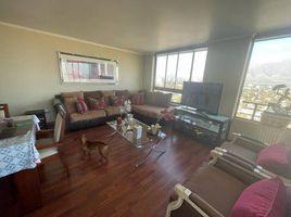 3 Habitación Apartamento en venta en Chile, San Jode de Maipo, Cordillera, Santiago, Chile