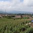  Tanah for sale in Lembang, West Jawa, Lembang