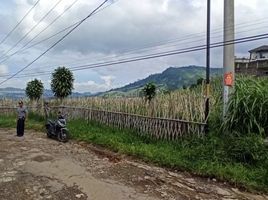  Tanah for sale in Lembang, West Jawa, Lembang