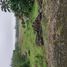  Terreno (Parcela) en venta en Manglaralto, Santa Elena, Manglaralto, Santa Elena, Santa Elena