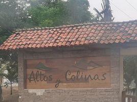  Terreno (Parcela) en venta en Manglaralto, Santa Elena, Manglaralto, Santa Elena, Santa Elena