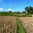  Land for sale in Sukawati, Gianyar, Sukawati