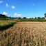  Land for sale in Sukawati, Gianyar, Sukawati