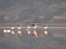  Land for sale in Chile, Santo Domingo, San Antonio, Valparaiso, Chile