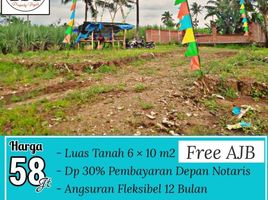  Land for sale in Kepanjen, Malang Regency, Kepanjen