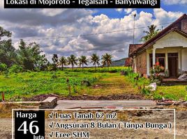  Land for sale in Banyuwangi, East Jawa, Gambiran, Banyuwangi