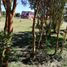 6 Bedroom House for sale in Llanquihue, Los Lagos, Puerto Montt, Llanquihue
