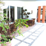在Quintana Roo出租的5 卧室 屋, Cozumel, Quintana Roo