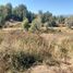  Terreno (Parcela) en venta en Maule, Curico, Curicó, Maule