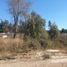  Terreno (Parcela) en venta en Maule, Curico, Curicó, Maule