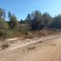  Terreno (Parcela) en venta en Maule, Curico, Curicó, Maule