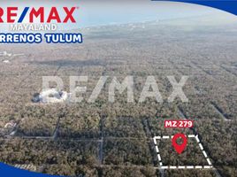  Land for sale in Cozumel, Quintana Roo, Cozumel