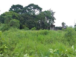  Land for sale in Santo Domingo De Los Colorados, Santo Domingo De Los Tsachilas, Santo Domingo De Los Colorados, Santo Domingo, Santo Domingo De Los Tsachilas