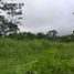 Land for sale in Santo Domingo De Los Colorados, Santo Domingo De Los Tsachilas, Santo Domingo De Los Colorados, Santo Domingo, Santo Domingo De Los Tsachilas