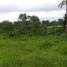  Land for sale in Santo Domingo De Los Colorados, Santo Domingo De Los Tsachilas, Santo Domingo De Los Colorados, Santo Domingo, Santo Domingo De Los Tsachilas