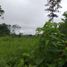  Land for sale in Santo Domingo De Los Colorados, Santo Domingo De Los Tsachilas, Santo Domingo De Los Colorados, Santo Domingo, Santo Domingo De Los Tsachilas