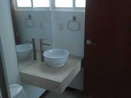 Appartement 2 chambre à louer à Miguel Hidalgo, Mexico City, Miguel Hidalgo, Mexico City, Mexique