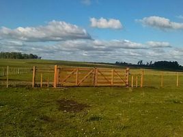  Terreno for sale in Barra do Quaraí, Rio Grande do Sul, Barra do Quaraí, Barra do Quaraí