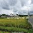  Terreno (Parcela) en venta en Karangploso, East Jawa, Karangploso