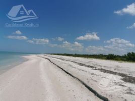  Land for sale in Celestun, Yucatan, Celestun
