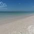  Land for sale in Celestun, Yucatan, Celestun