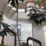 8 Habitación Casa en venta en Guadalajara, Jalisco, Guadalajara, Jalisco