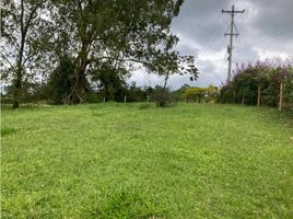  Land for sale in Salento, Quindio, Salento