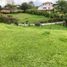  Land for sale in Salento, Quindio, Salento