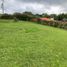  Land for sale in Salento, Quindio, Salento