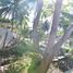  Land for sale in Carmen, Cebu, Carmen