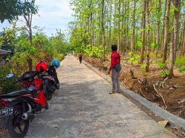  Terrain for sale in Sukoharjo, Jawa Tengah, Nguter, Sukoharjo