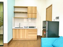 1 Bedroom Apartment for rent in My An, Da Nang, My An, Ngu Hanh Son
