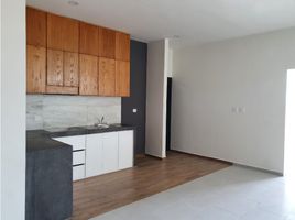 2 Bedroom Apartment for rent in Carmen, Campeche, Carmen, Campeche