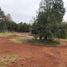  Land for sale in Mineral Del Chico, Hidalgo, Mineral Del Chico